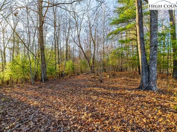TBD John Baker Road, Crumpler, NC 28617