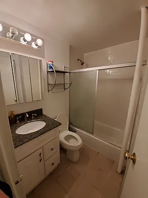 Rented by Manhattan Flats | media 3