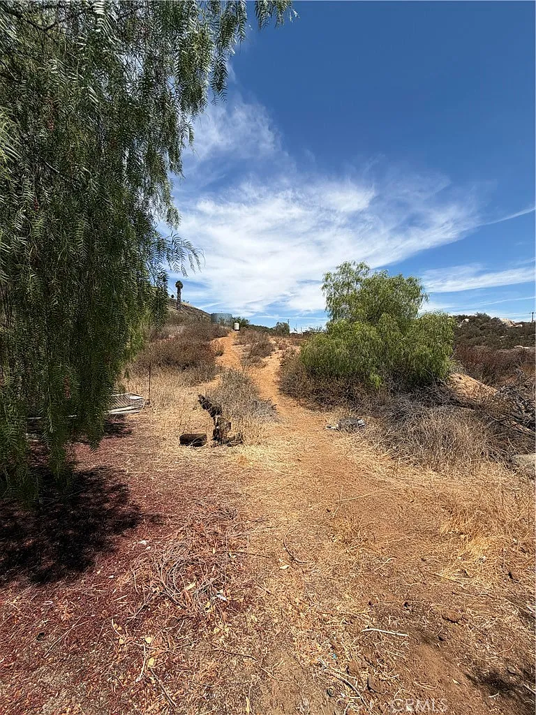 2 bed, 900 sqft, $3,200 — Photo 3