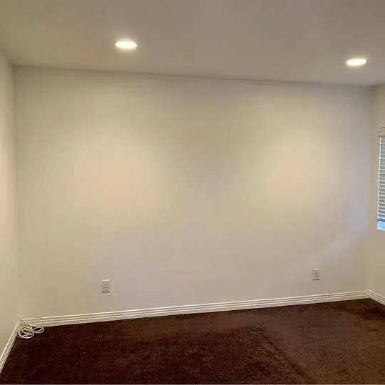 1 bed, 1.5 bath, 800 sqft, $1,250 — Photo 4