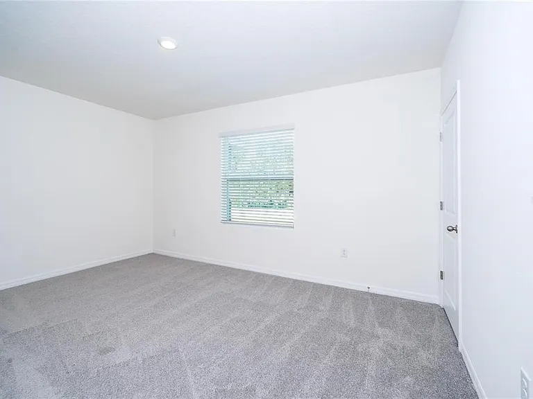 34293 Sorrel Mint Dr — Photo 18