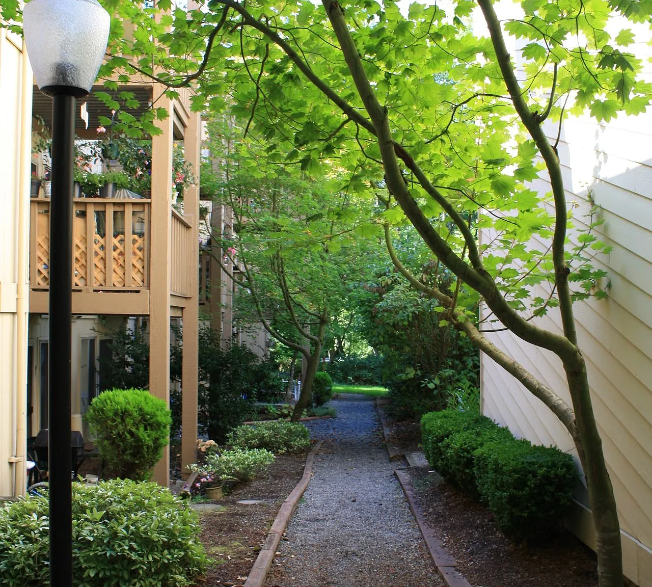 Willow Creek Apartments — Photo 3