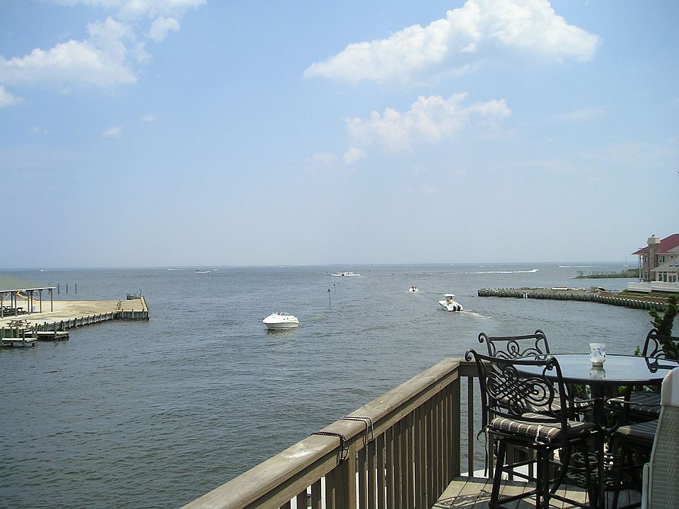 View from Deck