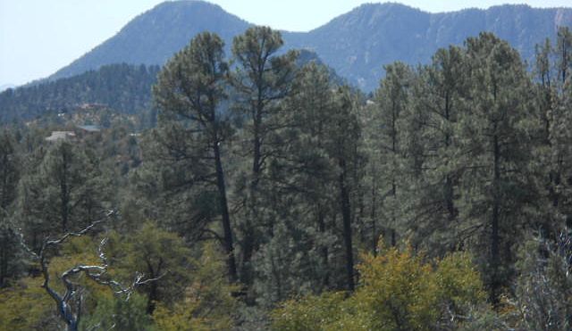 1st image of 800 N Chaparral Pines Dr