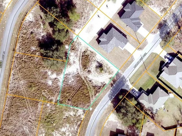 Locust Loop Pass Lot 11, Ocala, FL 34472