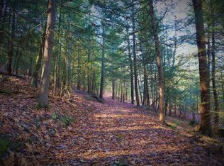 6541 County Route 21 LOT WP001, Addison, NY 14801