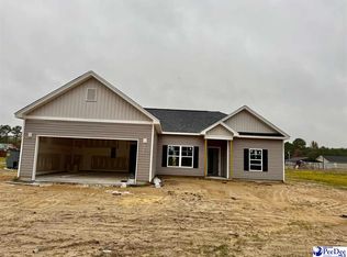 282 Lexyryan Ct, Latta, SC 29565