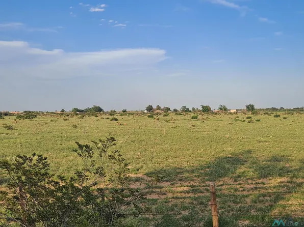 SE Of Armstrong Rd #47, Hope, NM 88250