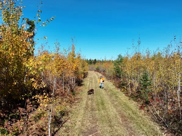 23030 Bowden Trl, Hillman, MI 49746
