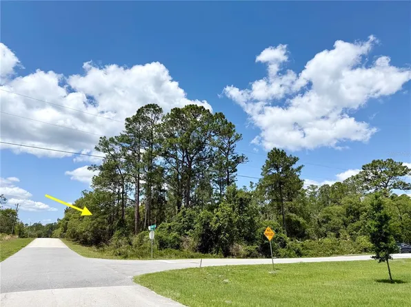 LOT 28 Alder Ct Lot 28, Eustis, FL 32736