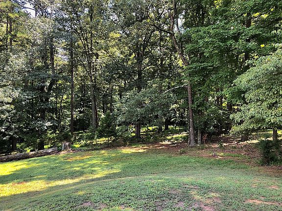 4th image of 1025 Morningside Ln