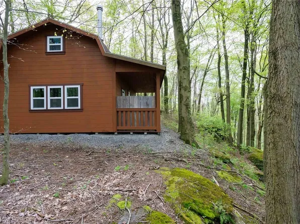 Trail Bottom Rd, Dundee, OH 44624