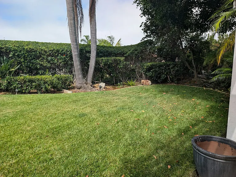 973 Blackstilt Ct — Photo 18