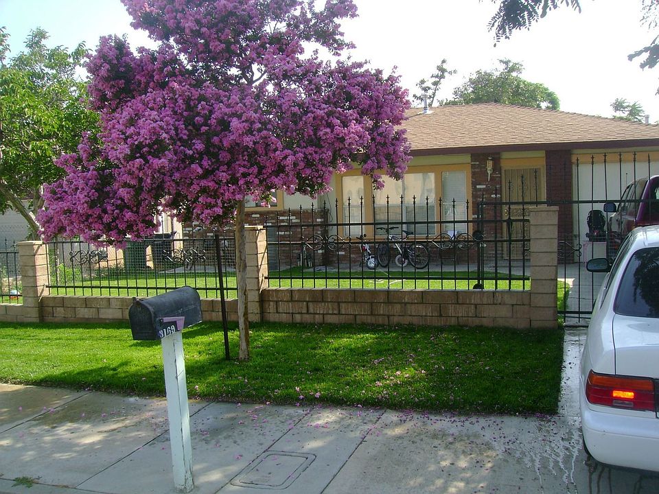 large front yard