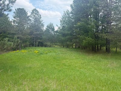 88 Linksview Way, Gladwin, MI, 48624