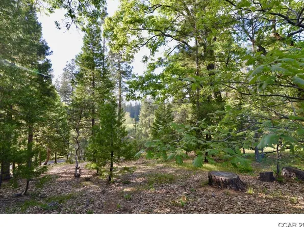 1616 Sandalwood Dr, Murphys, CA 95247