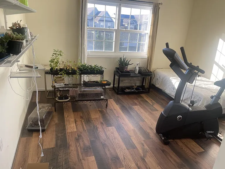 125 Rosemary Ct — Photo 14