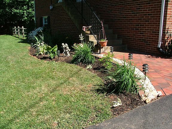 Landscaping / Organic / Perenials