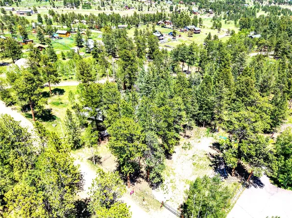 252 Beaver Trail, Bailey, CO 80421