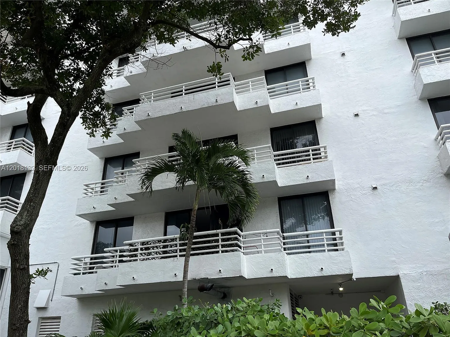 3 bed, 1181 sqft, $3,350 — Photo 2