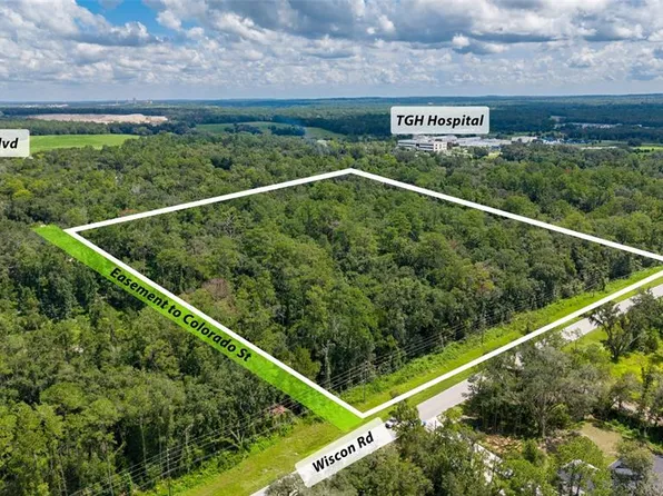 10.30 Acres WISCON ROAD, BROOKSVILLE, FL 34601