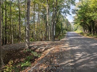 LOT 1 Tally Ho Winter Park Rd, Lake Of Bays, ON P1H2J6
