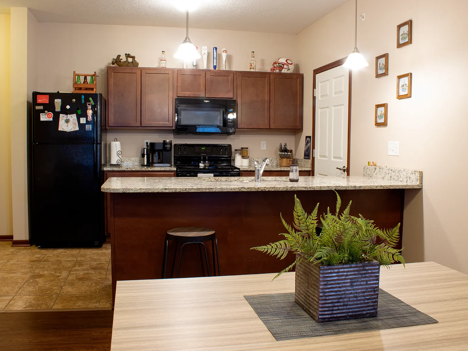 Ironwood — Photo 2