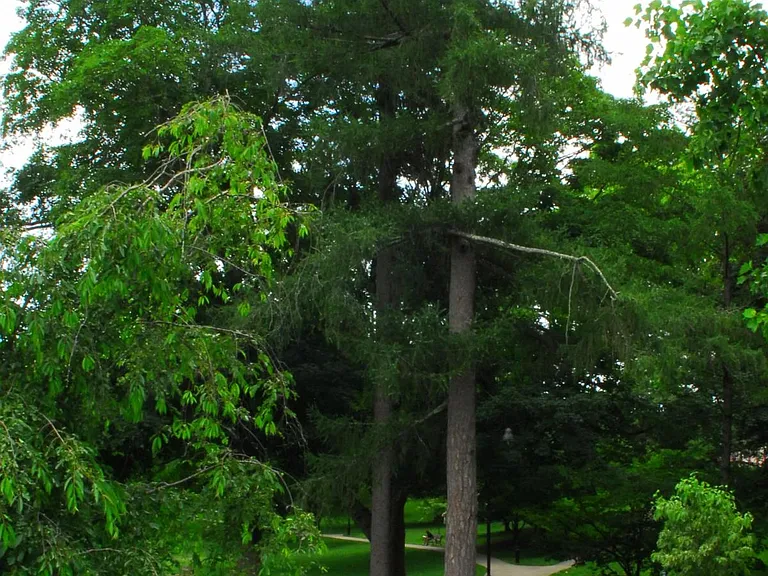 26 Elm St #3 — Photo 14