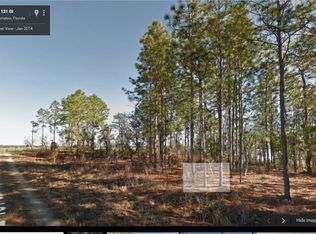 LOT-SE 20th, Morriston, FL 32668