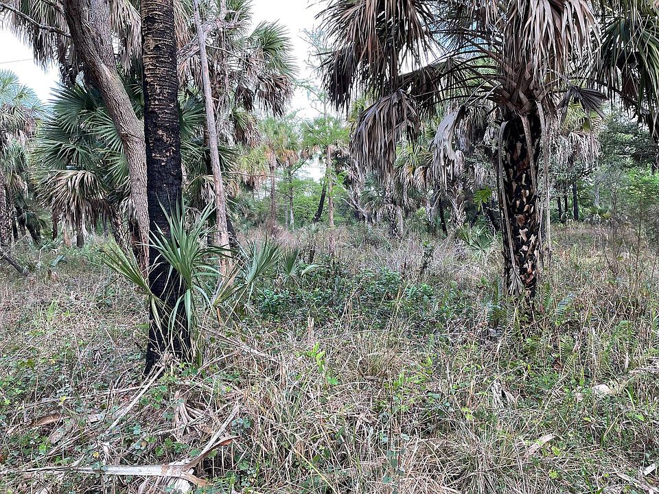 2nd image of 2650 Hancock Hammock Rd