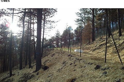 2nd image of 6307 Sunshine Canyon Dr