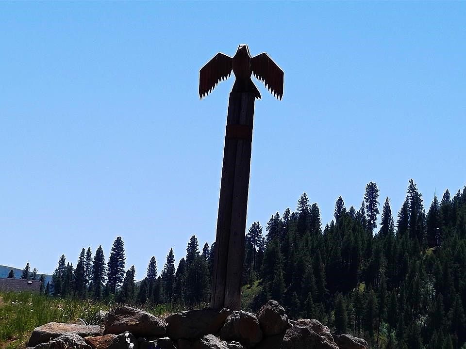 1st image of L4-B1 Flying Eagle Dr