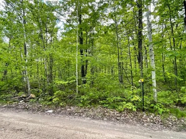 W Graves Lake Rd NE, Remer, MN 56672