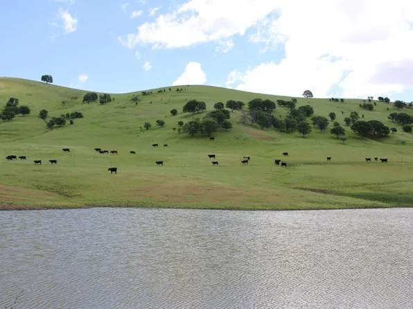 20 Highway, Williams, CA 95987