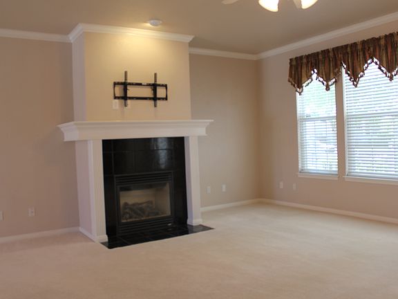 Electric start, gas fireplac