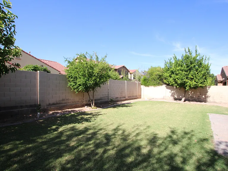 Backyard