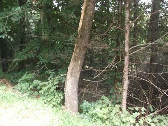 2nd image of Township Road 2 Strawberry Ln