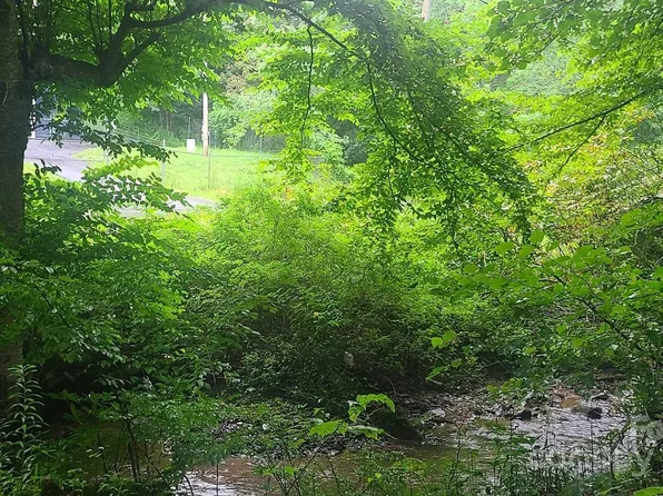 N Us Highway 19e, Newland, NC 28657