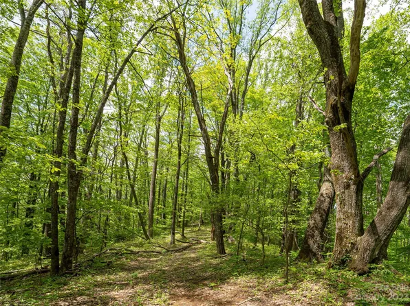 14086 Old Unions Hwy #23, Mars Hill, NC 28754