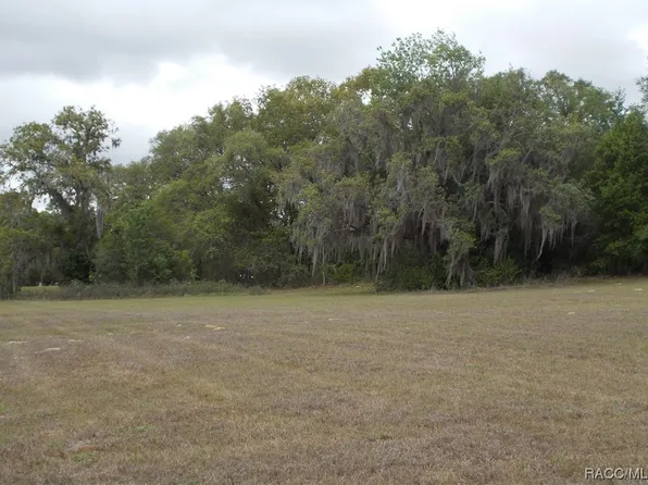 610 N Man O War Dr, Inverness, FL 34453
