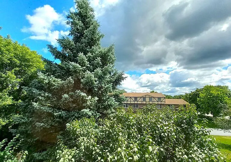 View - Main Bedroom