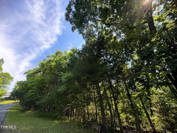 Oak Hammock Cir, Parrottsville, TN 37843