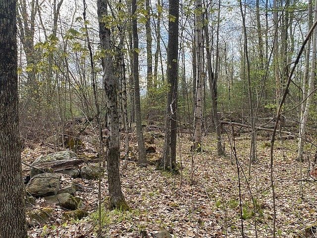2nd image of 11-11 New Athol Rd #L