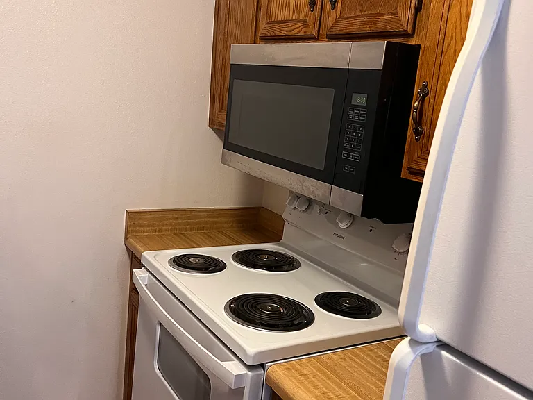 Spacious and crispy cold fridge. Clean like new oven and microwave.