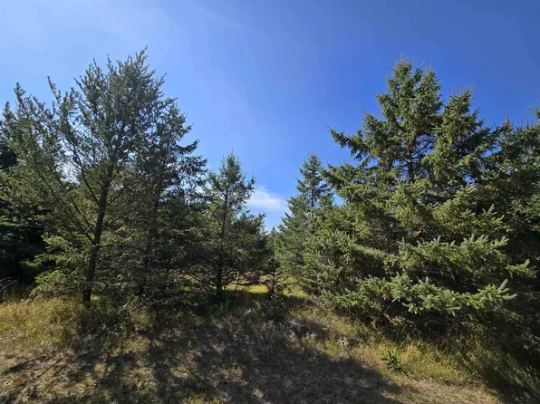6.06 acres 20th Avenue #1, Necedah, WI 54646