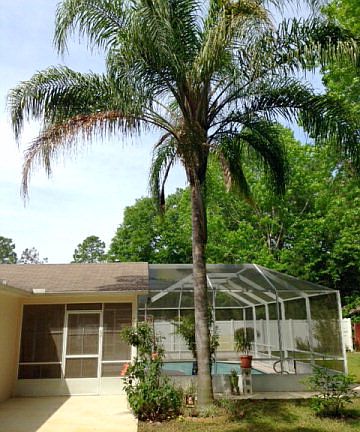 3rd image of 23 Ryley Ln