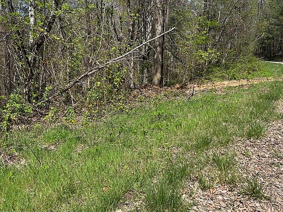 2nd image of LOT 28 Jones Ridge Rd