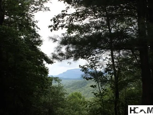 13 Whitewater Ridge Road, Sapphire, NC 28774
