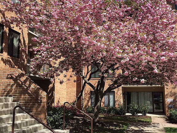 2nd image of 11419 Commonwealth Dr APT 104