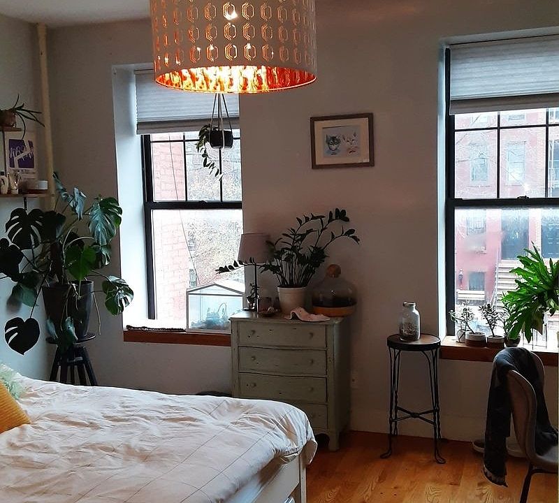1st image of 255 Lexington Ave APT 3